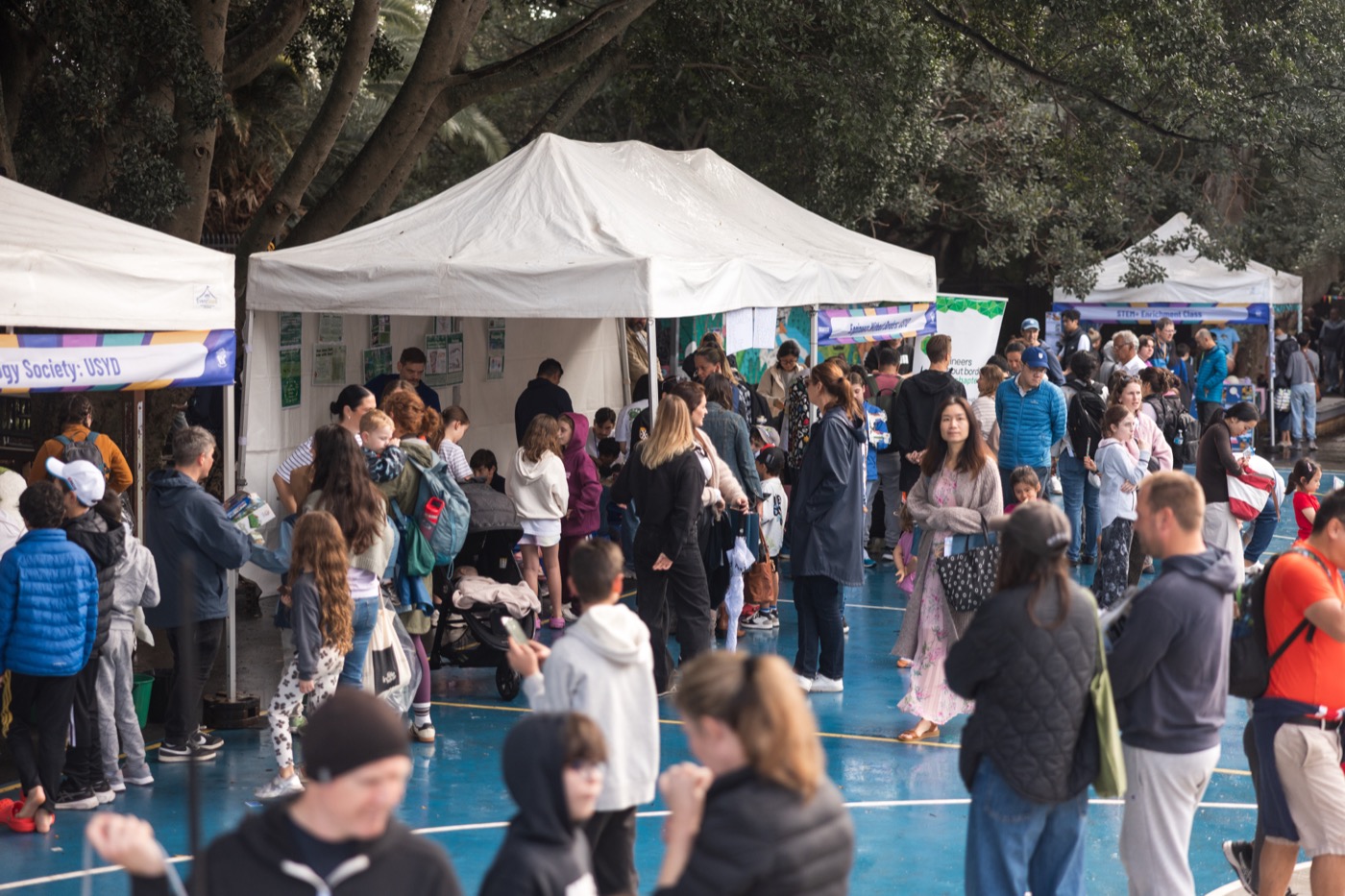 STEMFEST photo